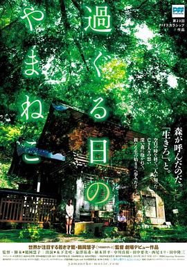 往日的山猫(大结局)