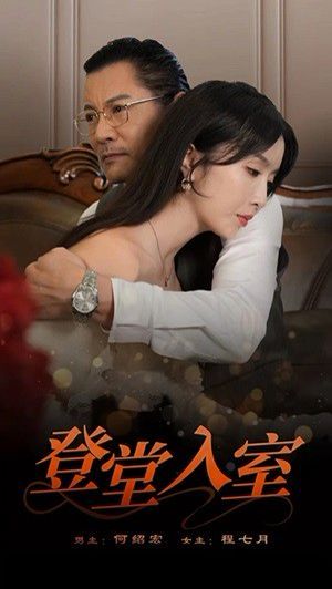 登堂入室第1-20集