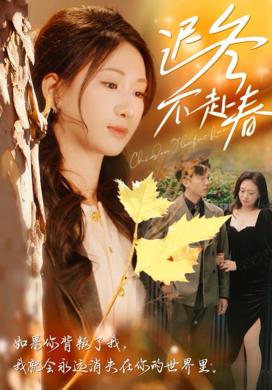 迟冬不赴春第1-20集