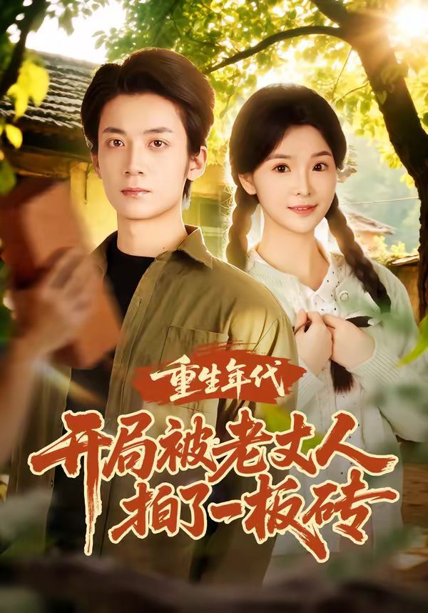 重生年代开局被老丈人拍了一板砖(全集)