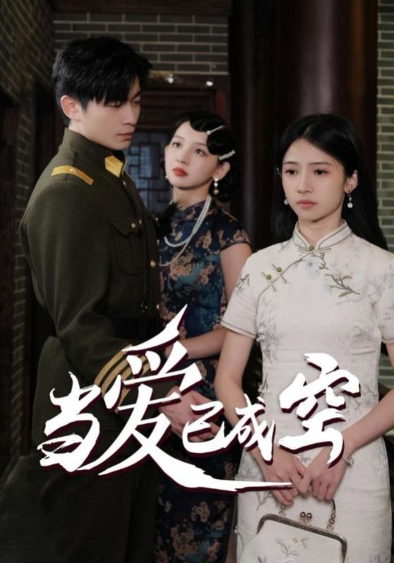 当爱已成空第1-20集