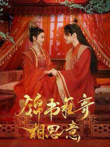 锦书难寄相思意第41-60集