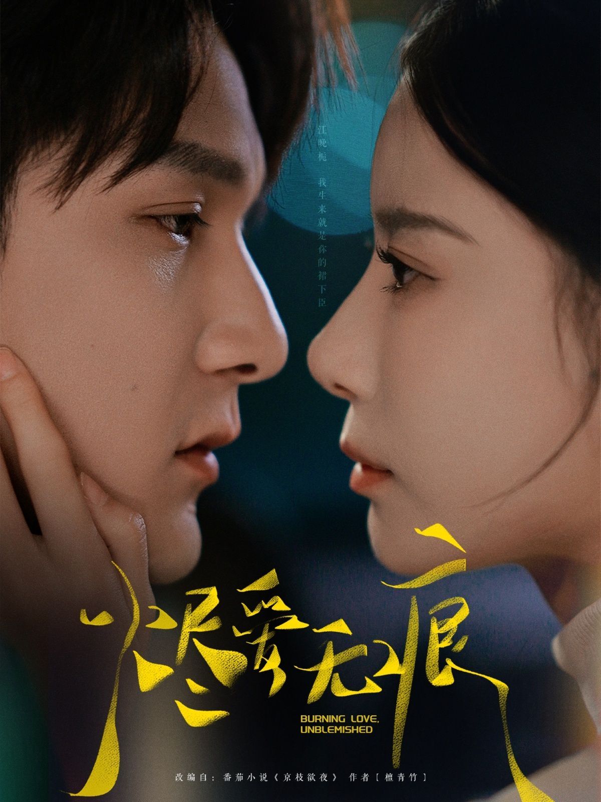 烬爱无痕第01-30集