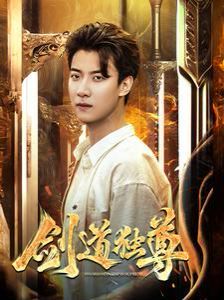 新剑道独尊第21-40集