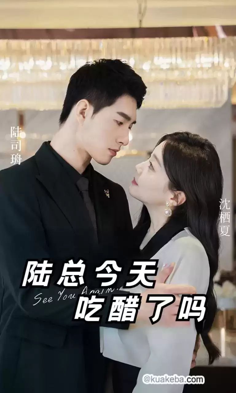 陆总今天吃醋了吗第1-20集