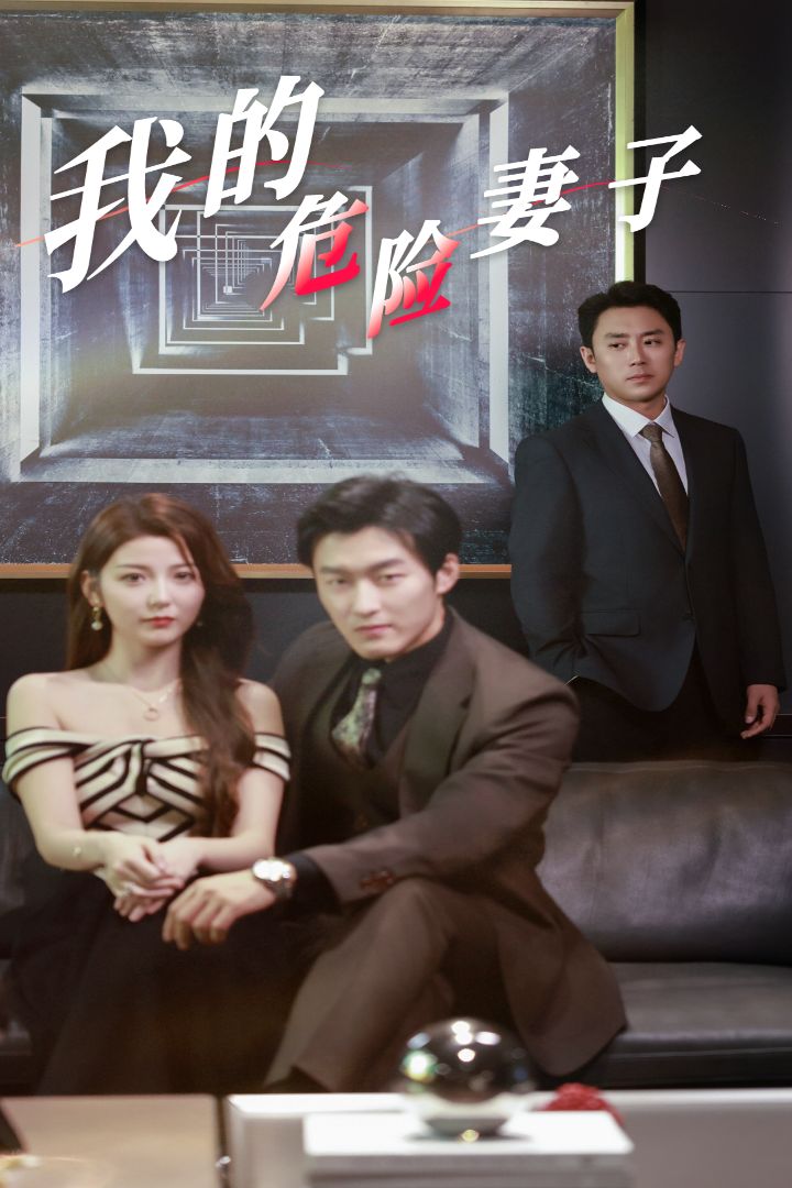 我的危险妻子第1-20集