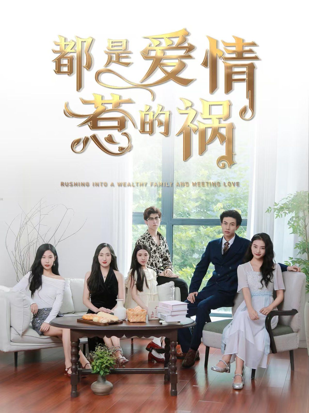 都是爱情惹的祸第01-30集