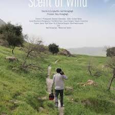 风的气息(全集)