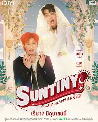 天意也疯狂(全集)