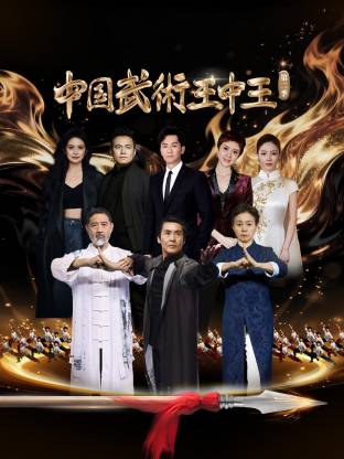 中国武术王中王 第二季
