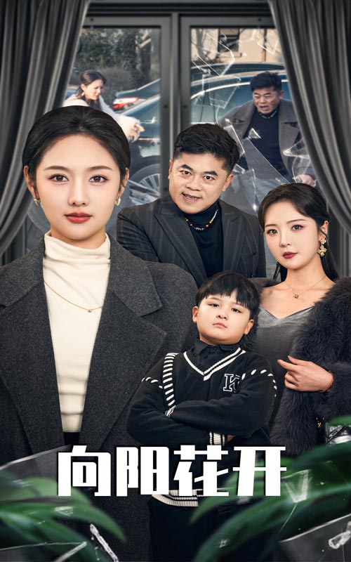 溺爱的代价 向阳花开第21-40集(大结局)